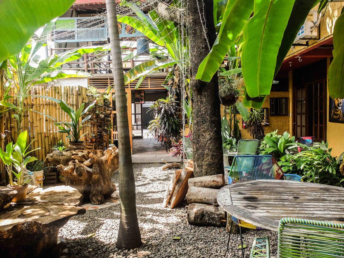 Casa De Palos Boutique Tarapoto Exterior photo